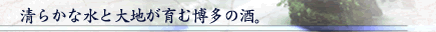 ���炩�Ȑ��Ƒ�n����ޔ����̎��B